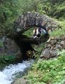 DSC03995 01
